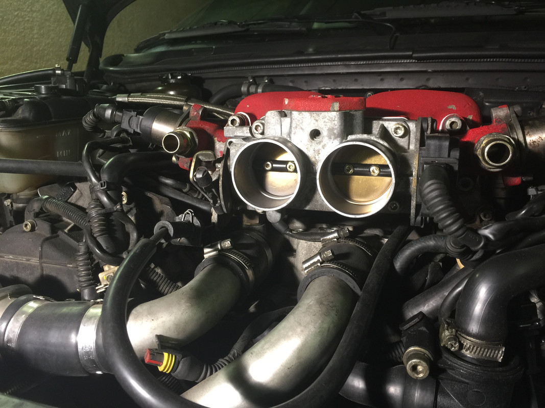 5E95CA3E-CFC8-48F8-8DA6-10D641D947A3