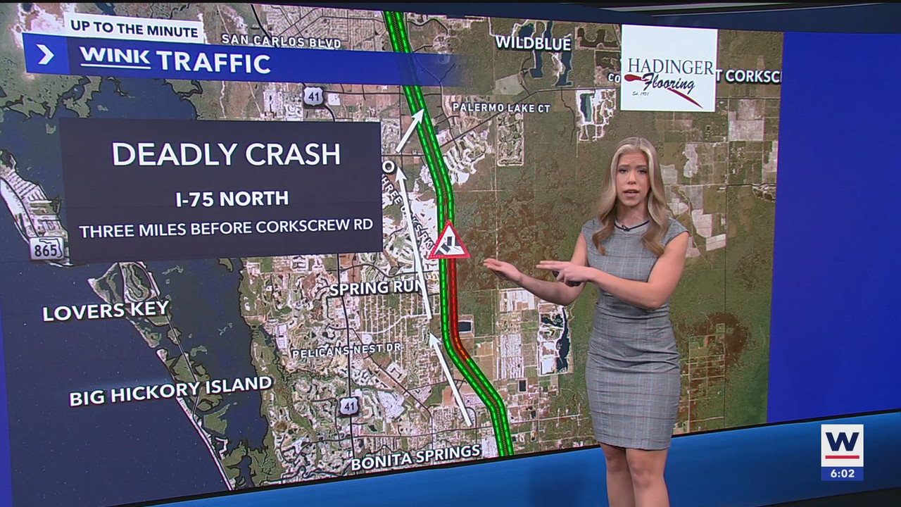 WINK News at 600am_20241101_10001030.ts_snapshot_03.18.725