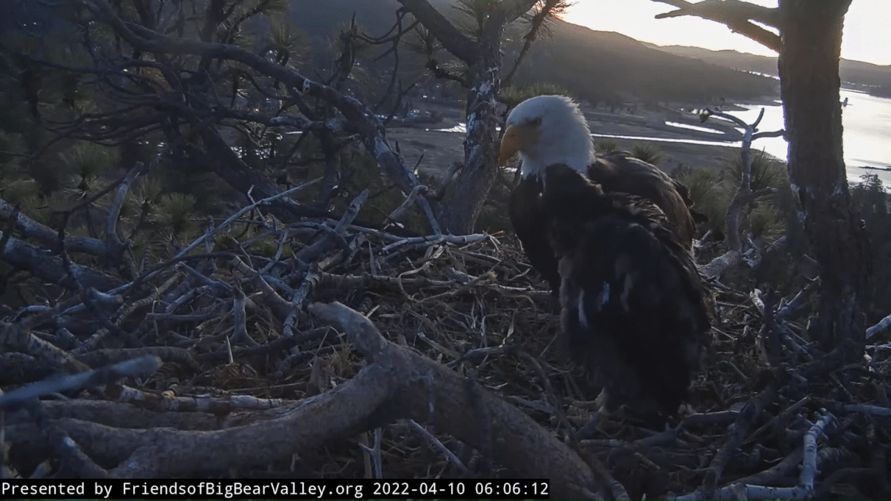 Webp.net-gifmaker (1)