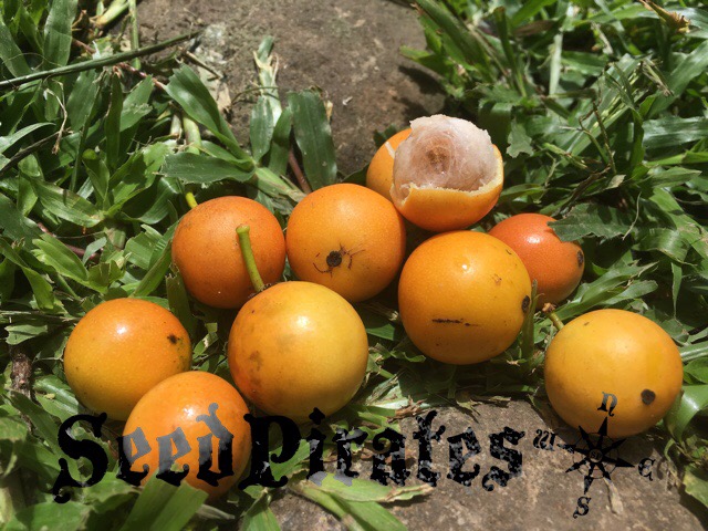 53BC5224-4B90-46FF-9672-BE5741BA5C90