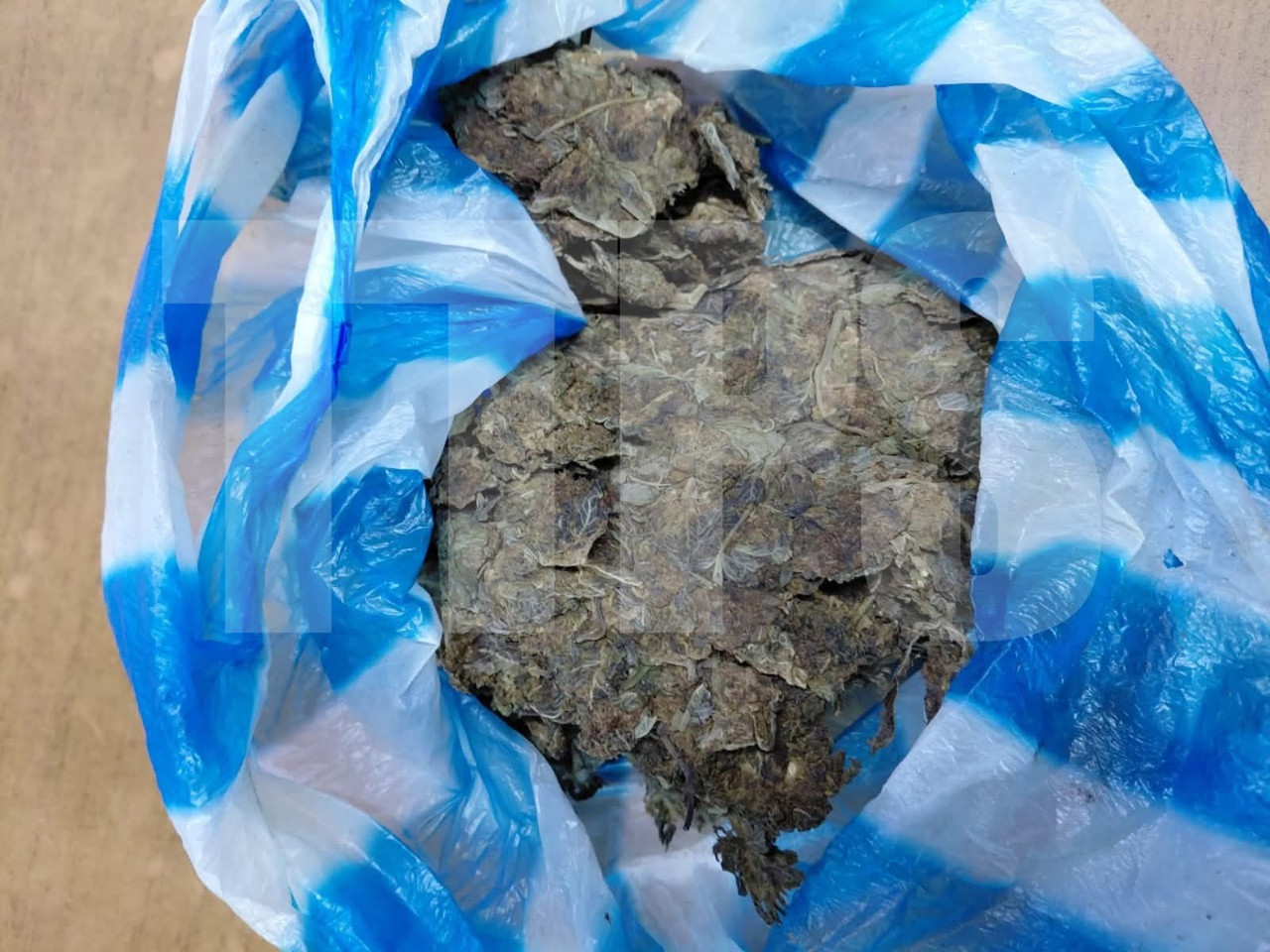 Five Arrested for Cannabis Possession and Motor Vehicle Larceny