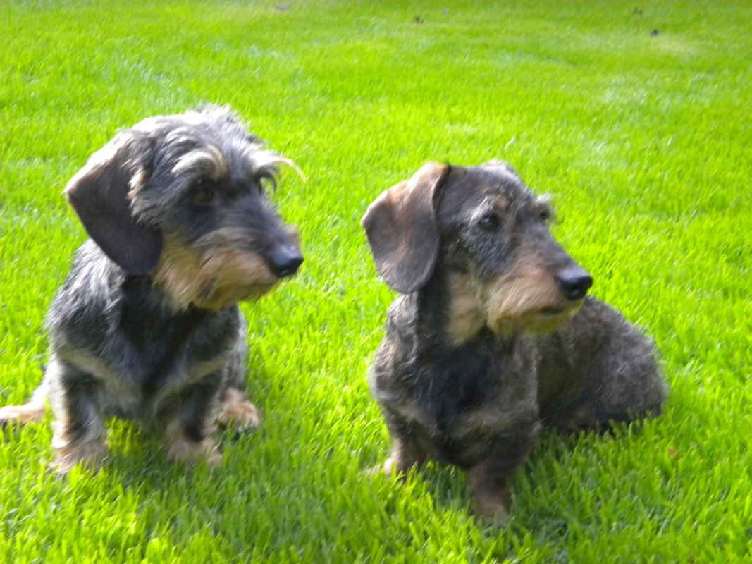 [Image: DSCN6814.jpg]