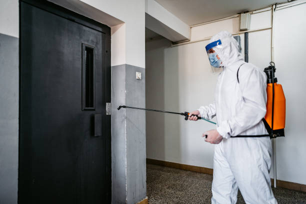 Pest Control Orlando