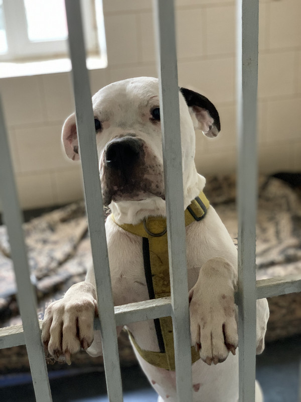 274A57B1-631E-4BDA-A4E8-1D6FA509D62F