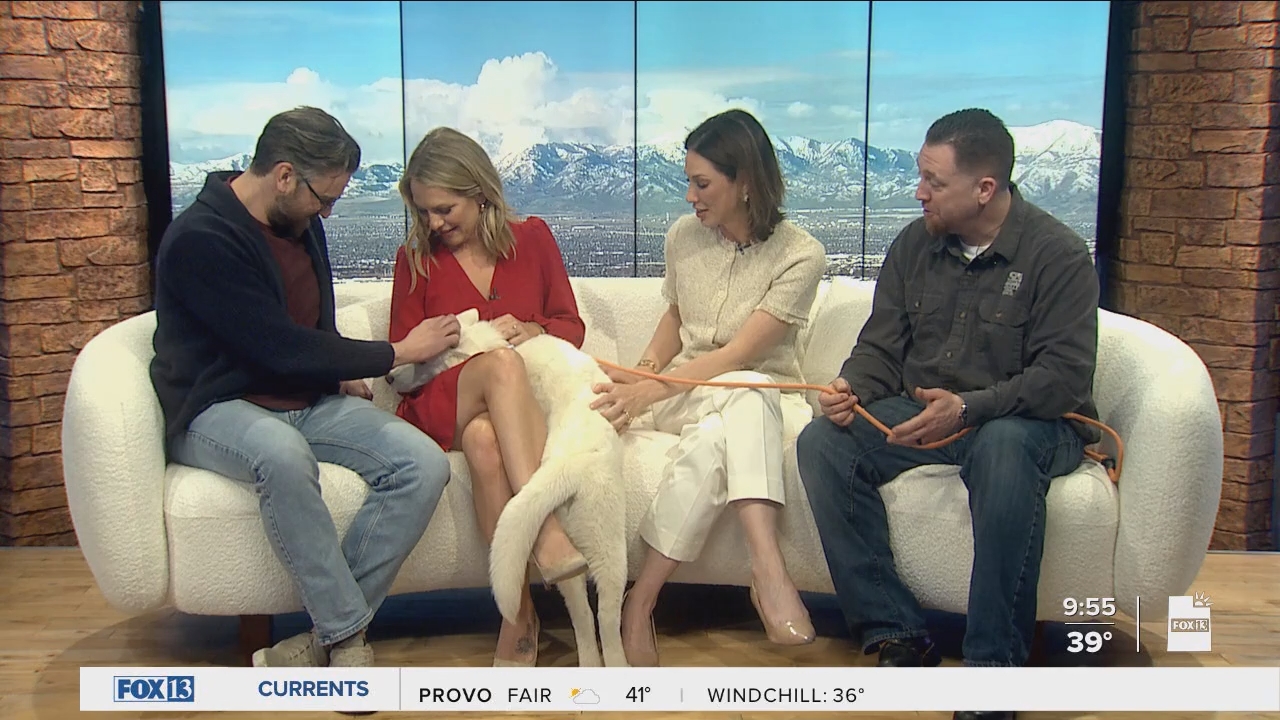 04.04 - 16.00.00 - FOX13 News  Good Day Utah 9AM  ᴺᵉʷ. Utah news, wea....ts_snapshot_00.57.03.554