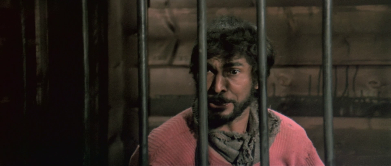 vlcsnap-2023-06-11-23h16m32s343