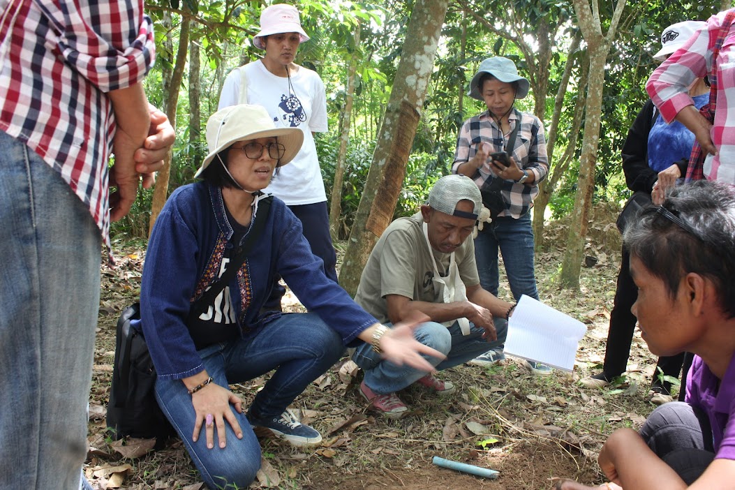 data-collection.jpg