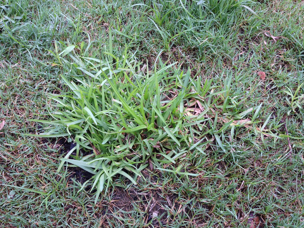 14465932816_4f587c9618_k