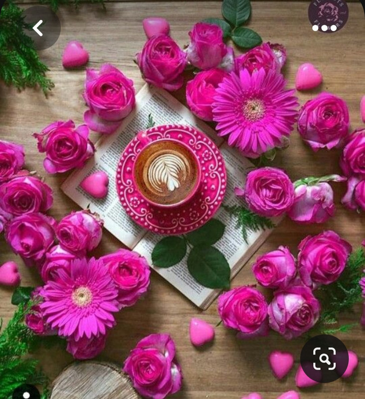 Screenshot_20230731_233648_Pinterest