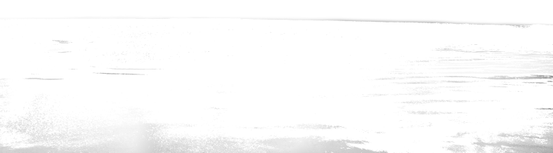 Christmasswishoffairydnice