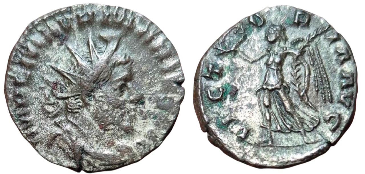 512760705-24484863877764936-316345164333