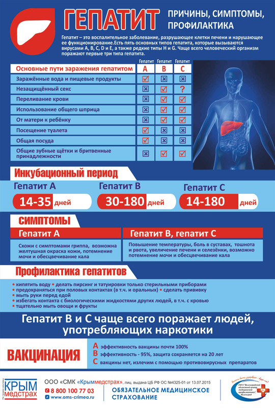Профилактика гепатита