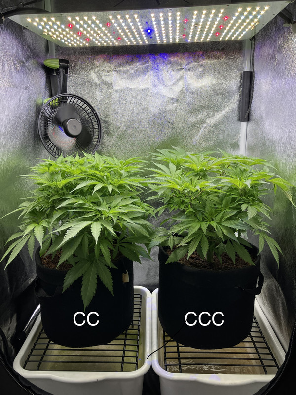 DC54A30A-D3A1-4E77-8F64-CA6B1D2918FA