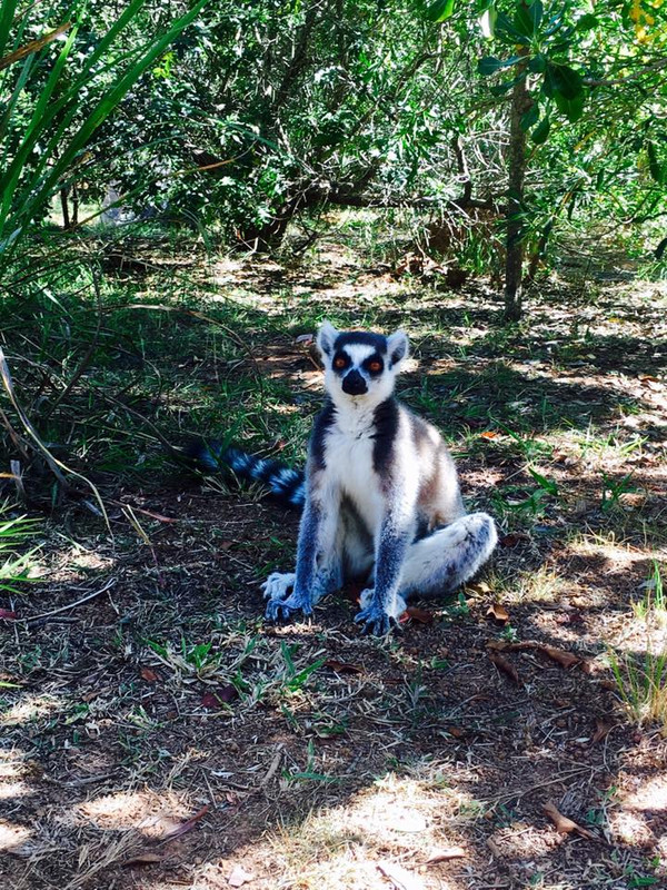 18739693-10154485550595703-1774074414277