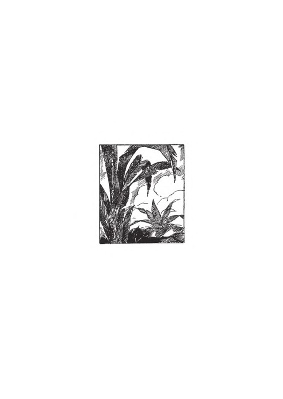 p0011