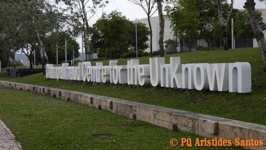 505977602-2426571771058333-1759434562657298402-n