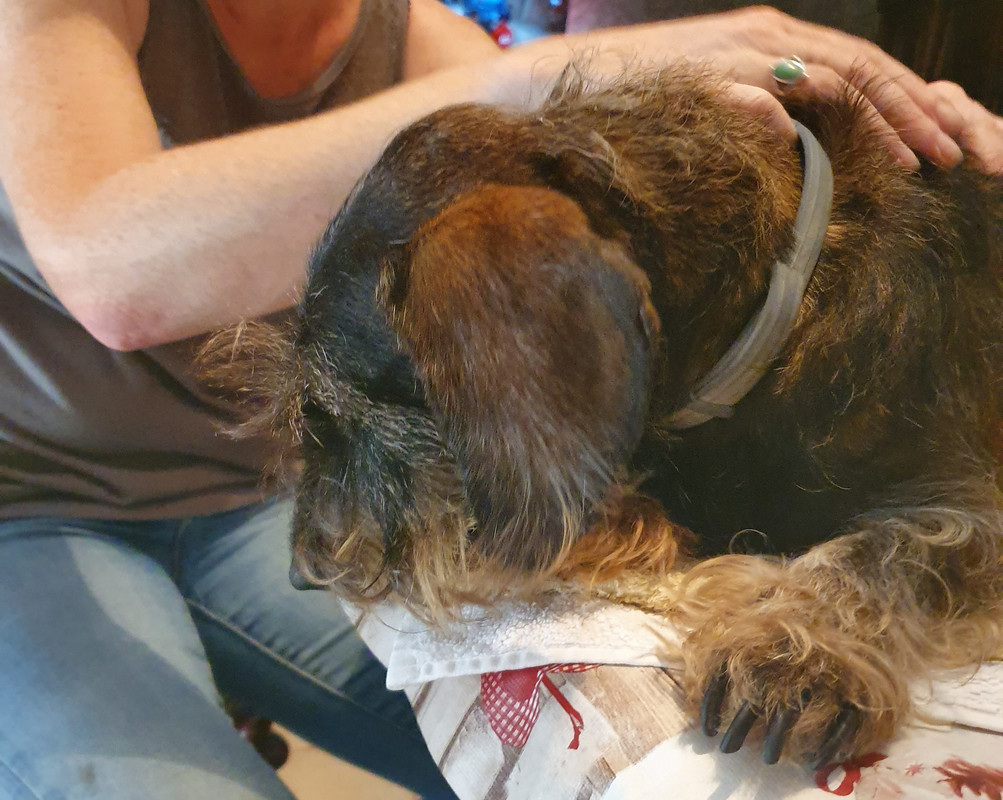 [Image: 20220615-151422.jpg]