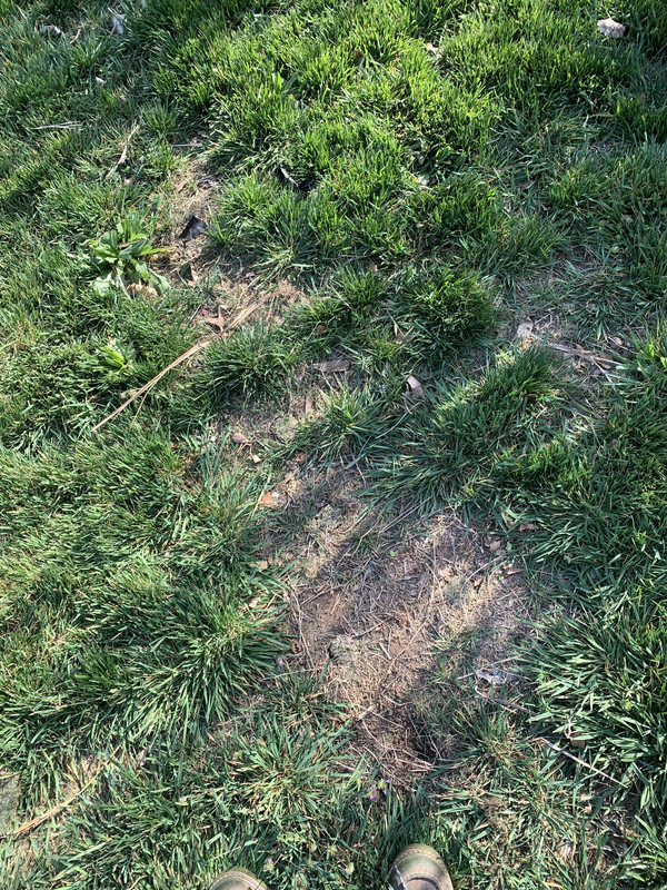 E98C72E4-A67C-4E8D-BBDE-7E74A1EEBEBF