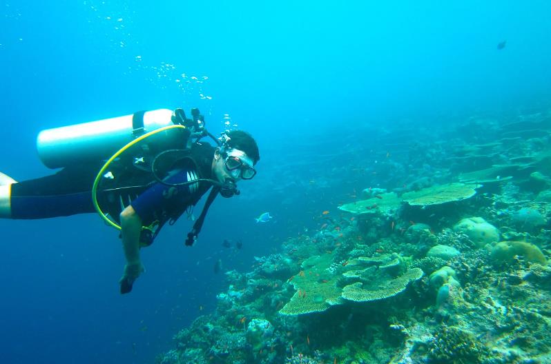 Turismo - Explorando los beneficios para la salud del buceo en Hurghada Buzo