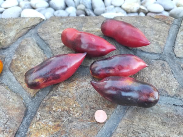 548263823_24545293501756351_7900357910268375740_n