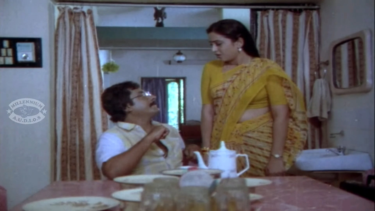 Beautiful and young geetha navel and other saree scenes.mp4_snapshot_00.30.683