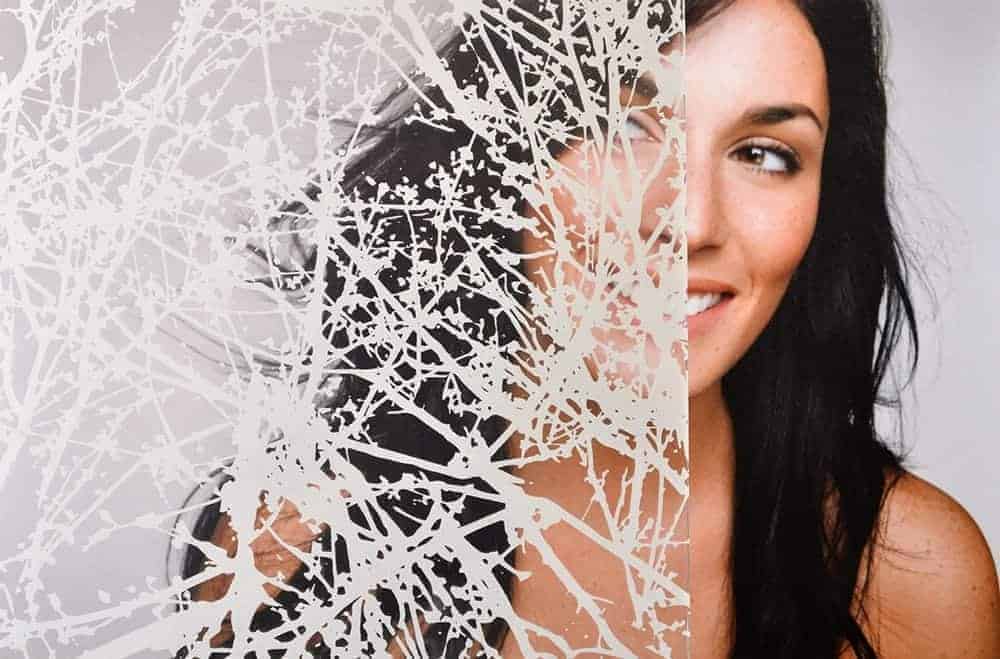 SX-5020 Spring buds white – Patterned Window Film. SX-5020 White Spring Buds. A beautifully designed, matte white design with branches and buds on a…