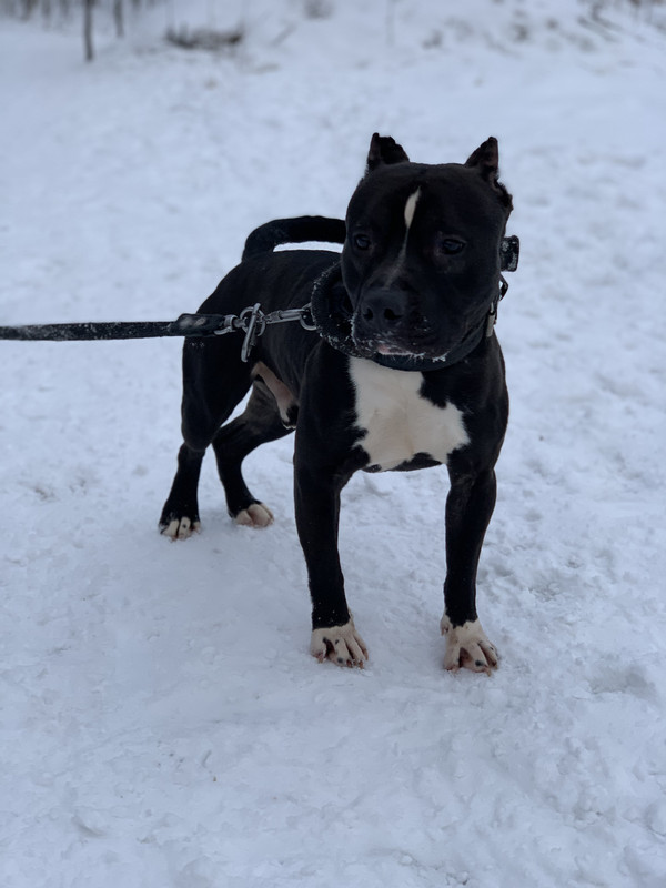 1FCBF784-DC54-471F-B039-ED05005D066E