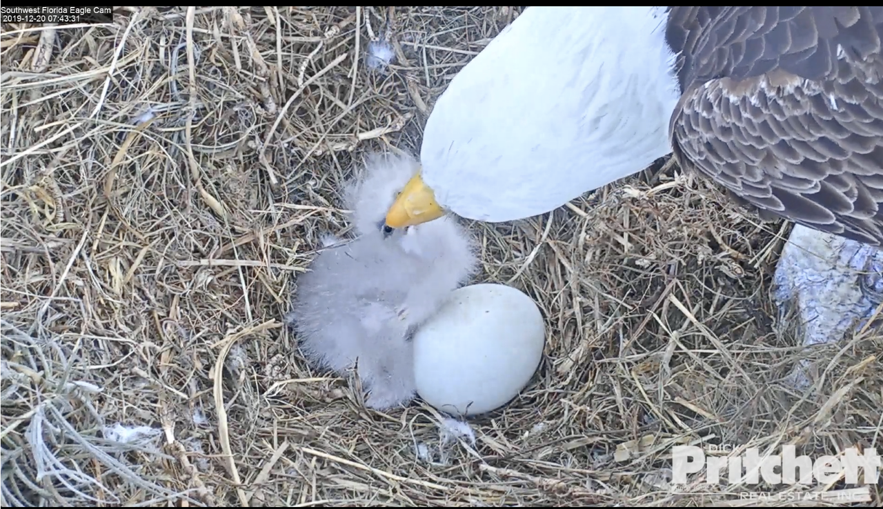 Zuid-west Florida 20191220-03om 13.59.49