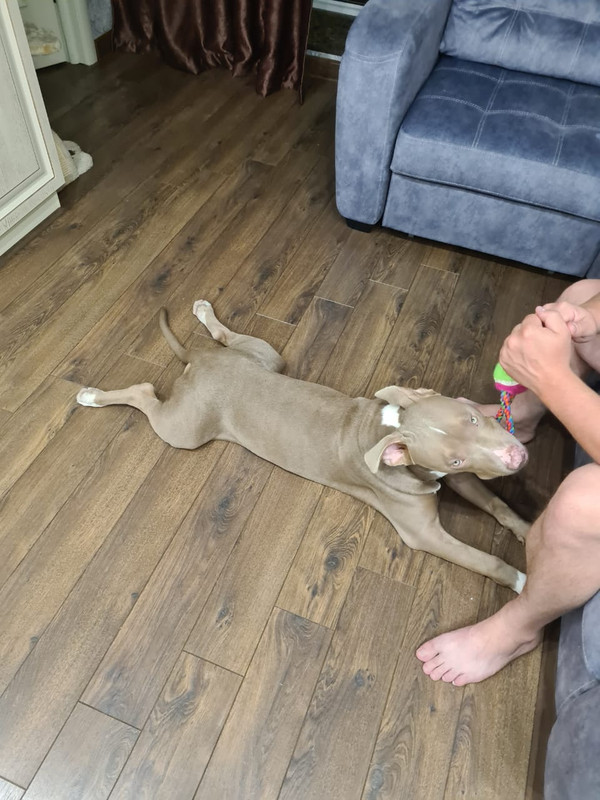 7BB2B833-713F-43F1-A96D-579B580EA81E