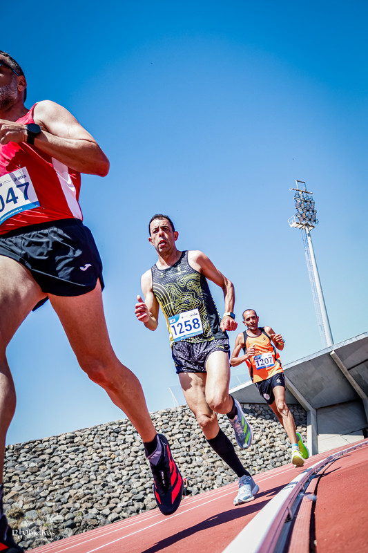 Canary Run 1419