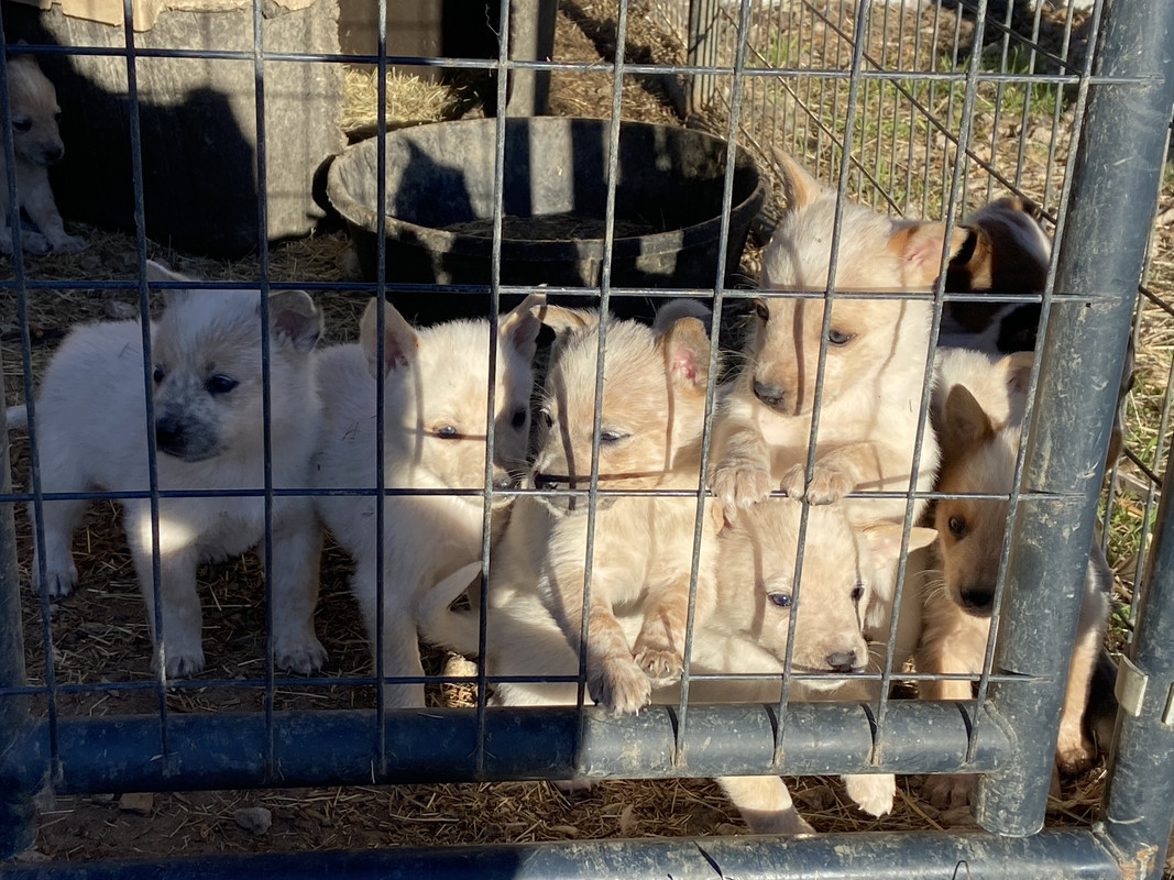 FC6F3CDD-EFEB-4304-AD97-B17BAB412F2E