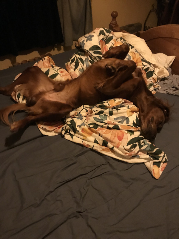 B0A676B2-D8DF-4670-9FCA-6658F2A6BC13