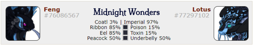 Midnight-Wonders.png