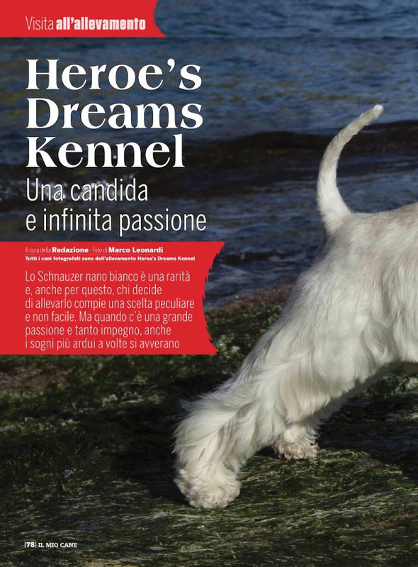 Il M C Nov 2021 (11)