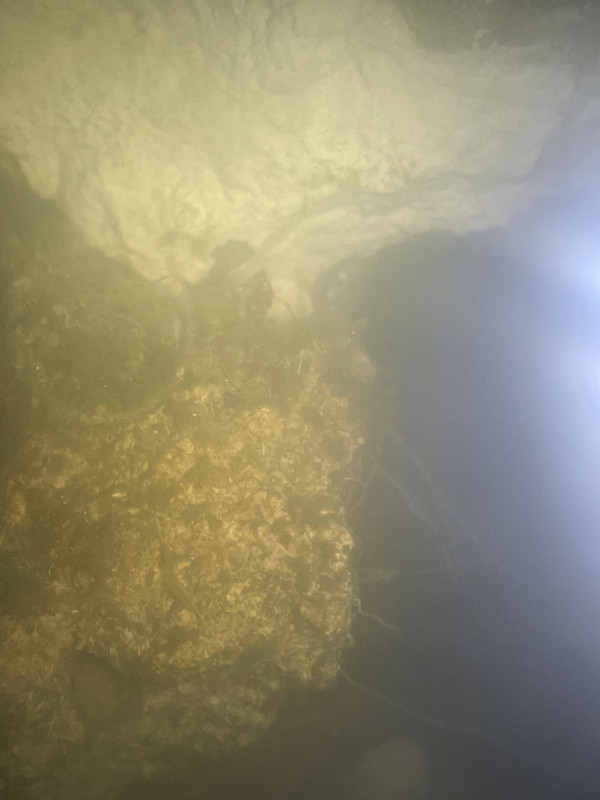 ADAD5814-55EC-47E5-9D21-615005380910