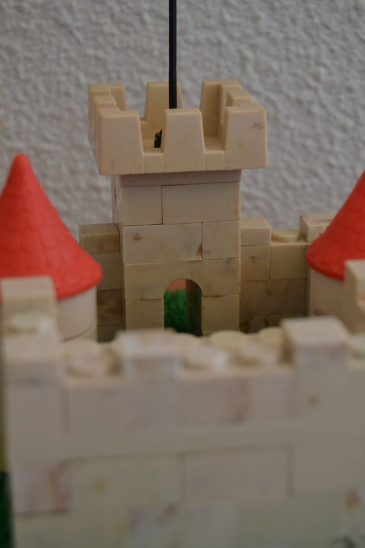 DSC_0524