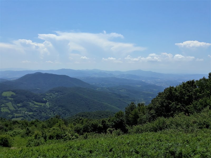 Slika