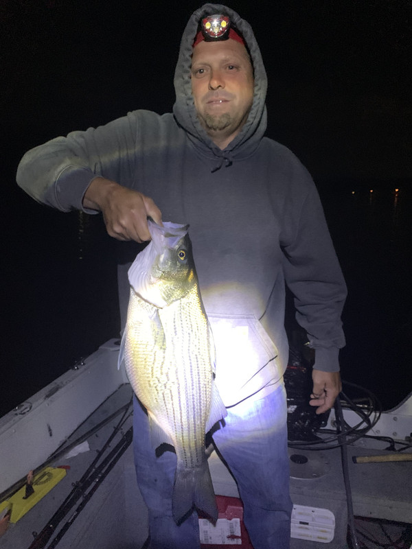 10F99640-2EDD-45A2-B067-588109C1A08E