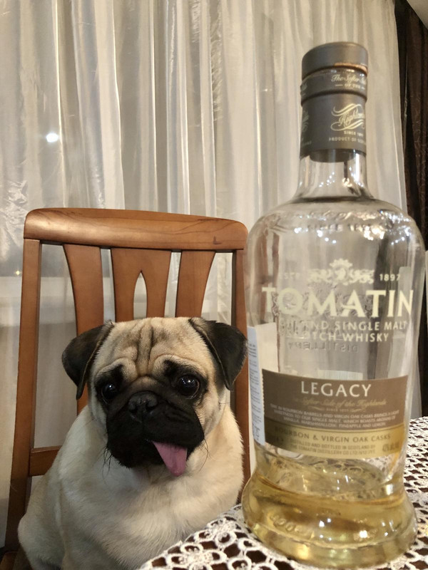 87F1D5FC-C4BC-490D-A21A-F7800C946416