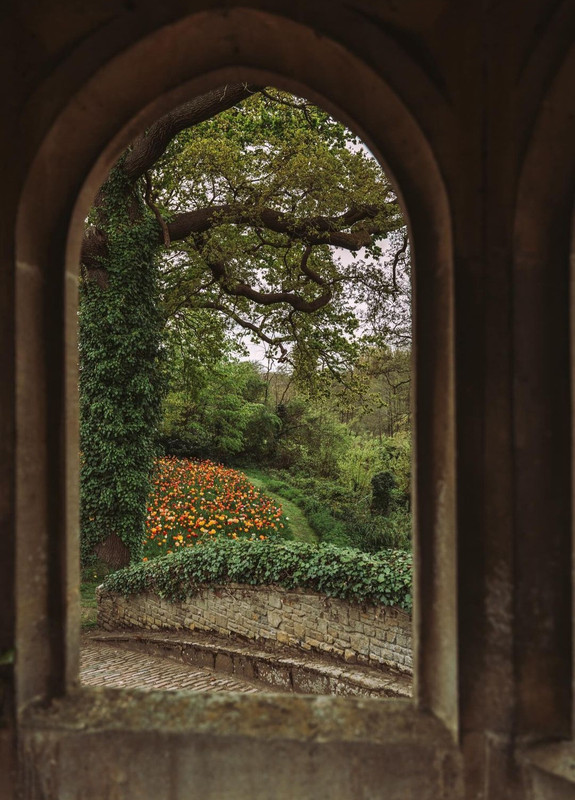 Screenshot_20240428_000332_Threads