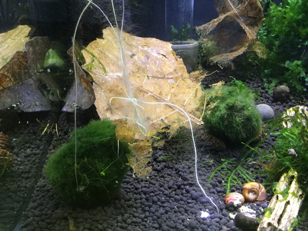 0D181F3C-36A7-45DB-ABF8-50CB9302B5F1