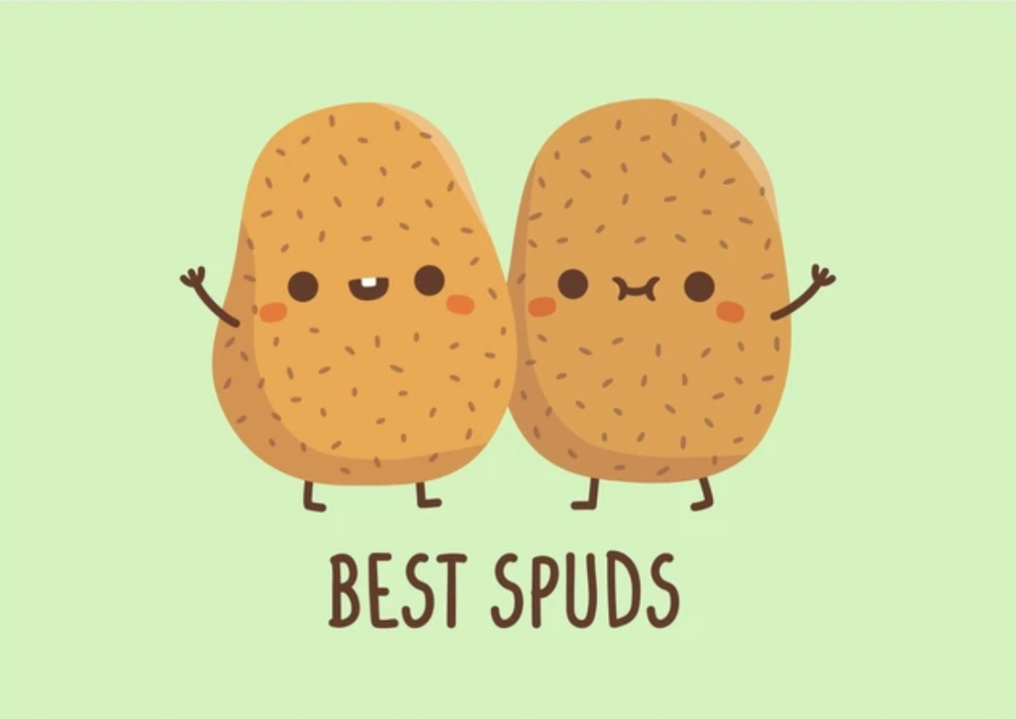 spuds.png