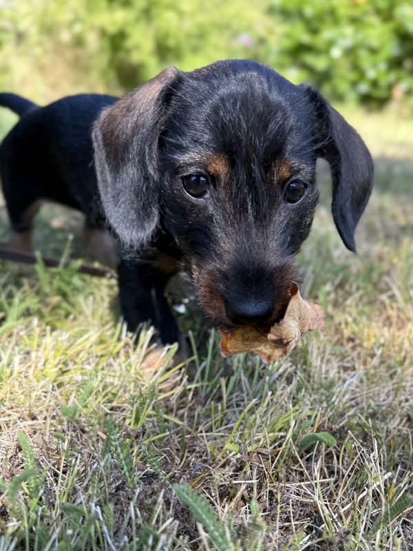 [Image: IMG-1888.jpg]