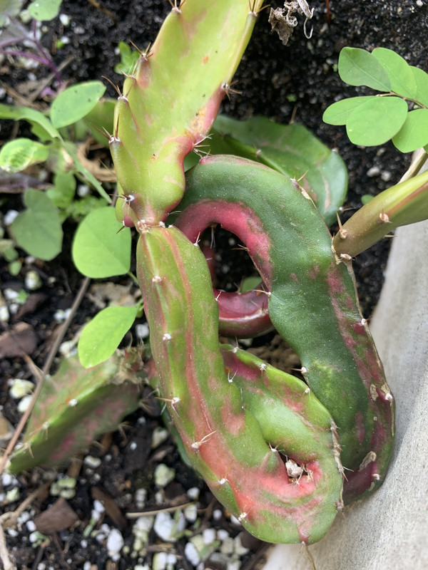 C936B122-1258-47CE-BF9D-683CB6A3EF88