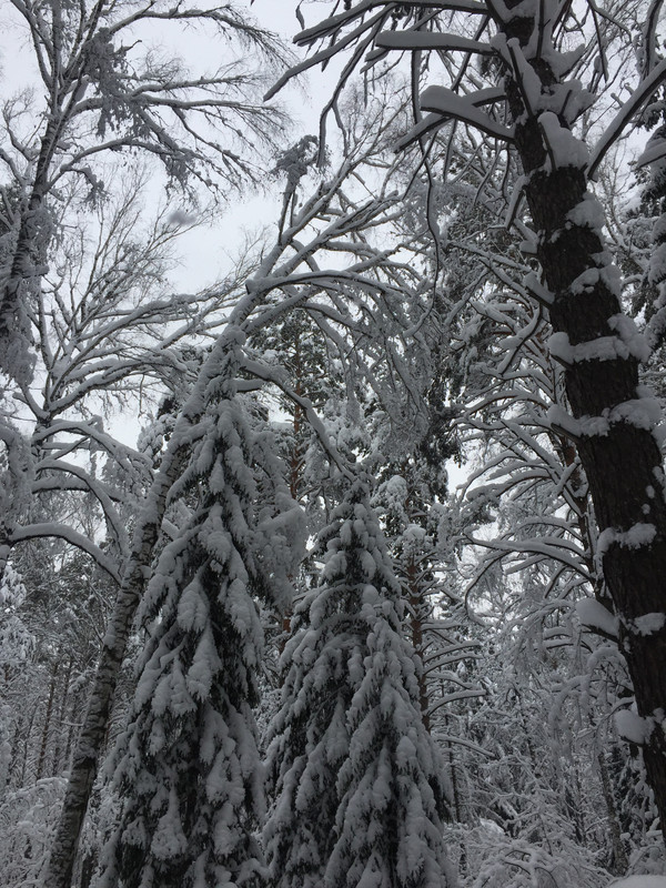 D1A396AE-22A9-4014-BBB6-740BD63D6B92