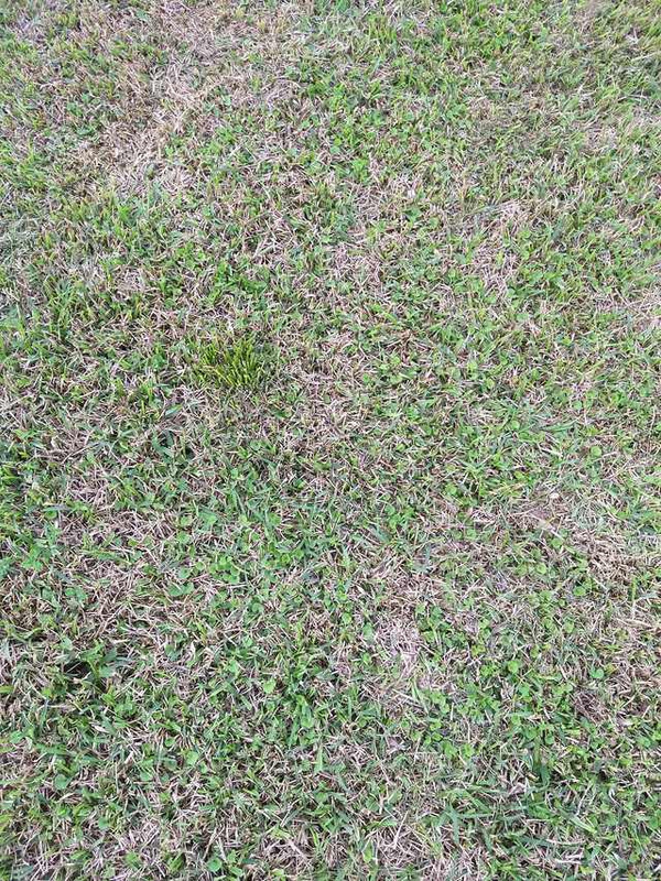 BFDFC590-99D0-4DBE-9047-C64511F7FDD5