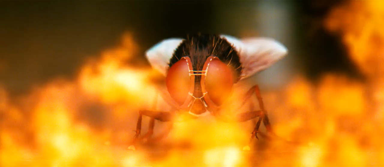 Eega 2012 WebRip [Tamil] 480p 720p ESub Screenshot