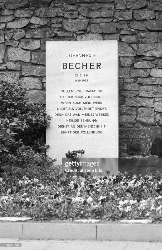 gettyimages-550663741-2048x2048