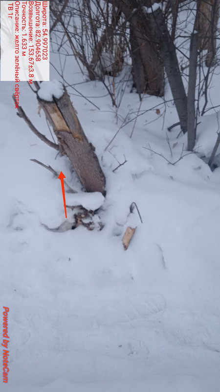 photo 2026 02 09 11 59 45