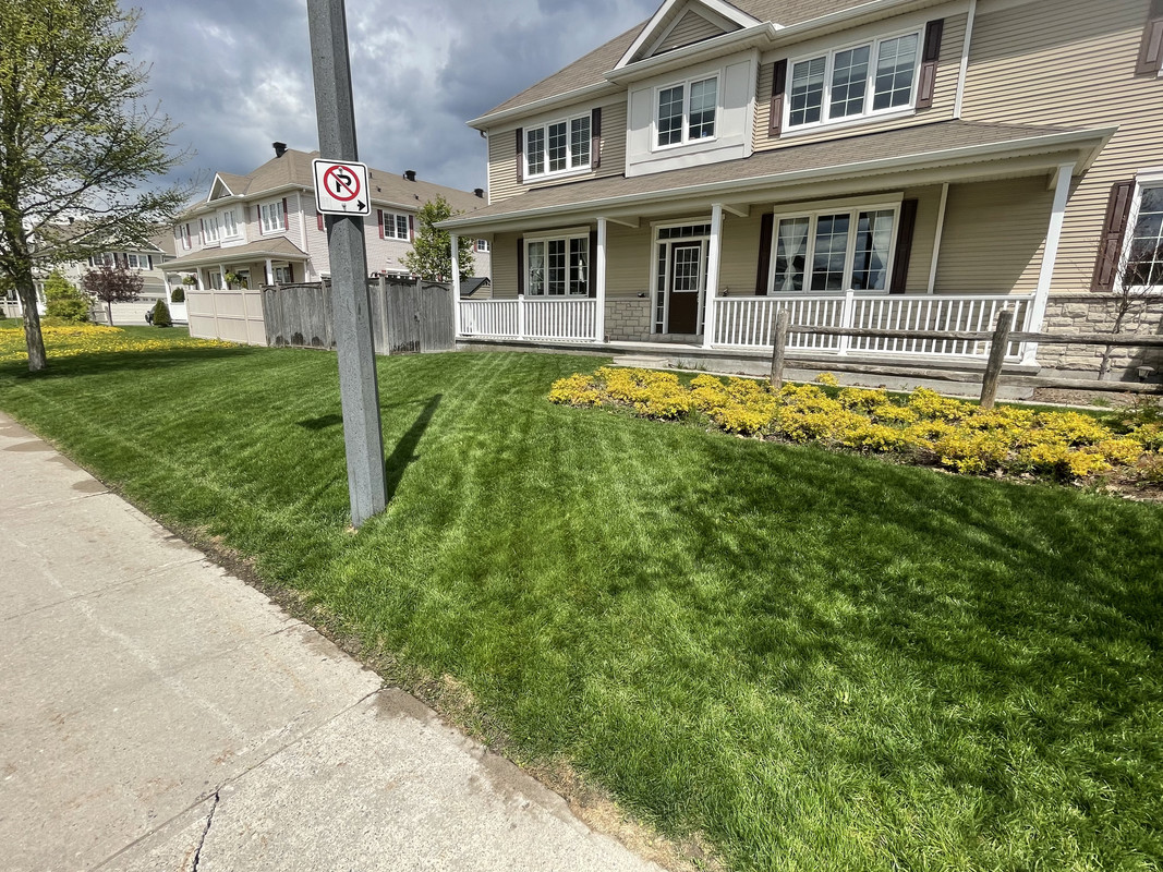 A7C63CE5-41B8-43AC-A806-E14E0165F23A